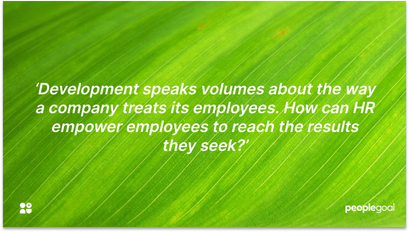 Company culture and development