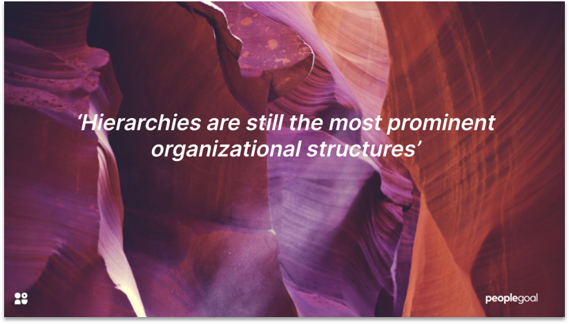 Types of organizational culture - Hierarchy culture