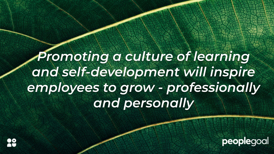 Talent definition - importance of promoting learning